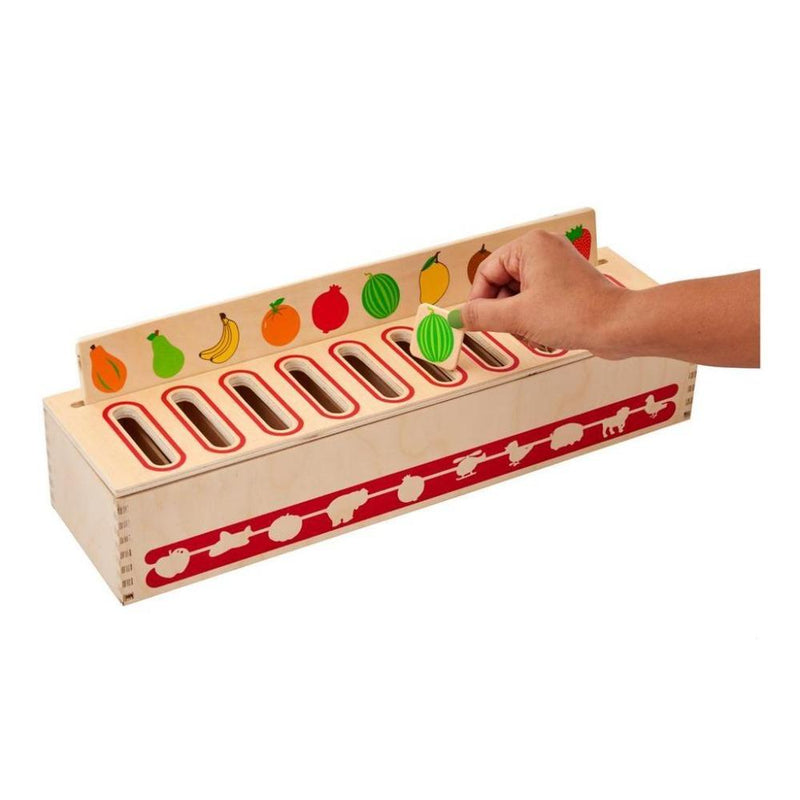 Eduedge See N Sort