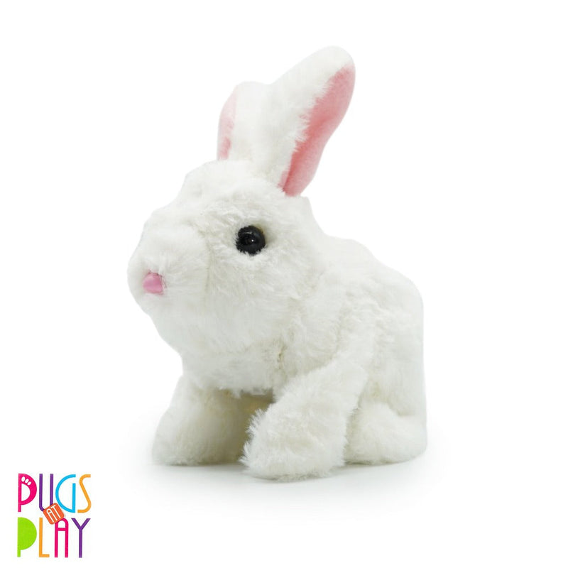 Fuzzbuzz Pets Toy