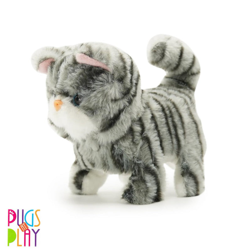 Fuzzbuzz Pets Toy