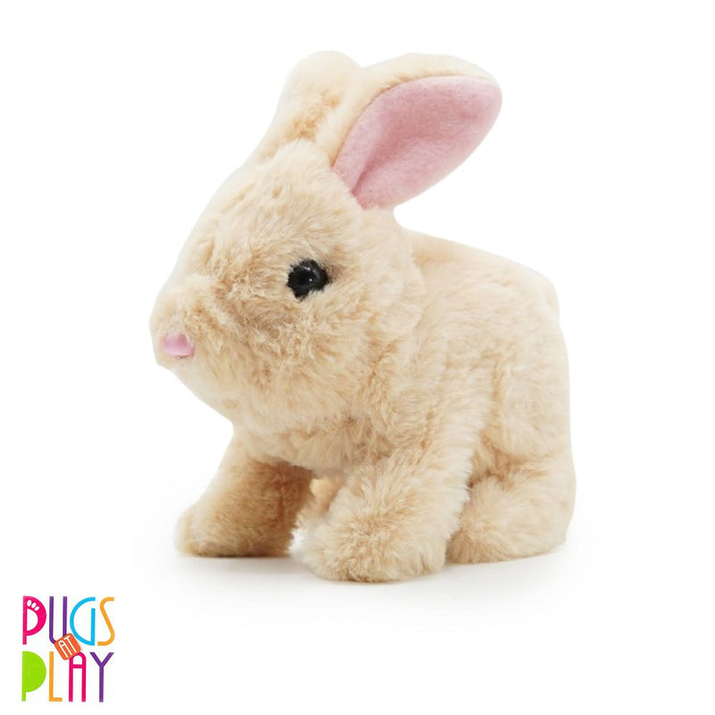 Fuzzbuzz Pets Toy