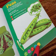 GoDiscover SmartBook Interactive Early Learning Series
