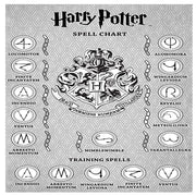 Harry Potter, Albus Dumbledore's Wizard Training Wand - 11 SPELLS To Cast! Official Toy Wand with Lights & Sounds