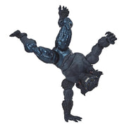 Hasbro Marvel Legends Series 6-inch Action Figure