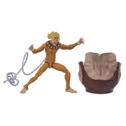 Hasbro Marvel Legends Series 6-inch Action Figure