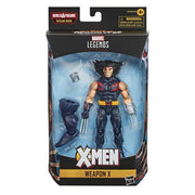 Hasbro Marvel Legends Series 6-inch Action Figure