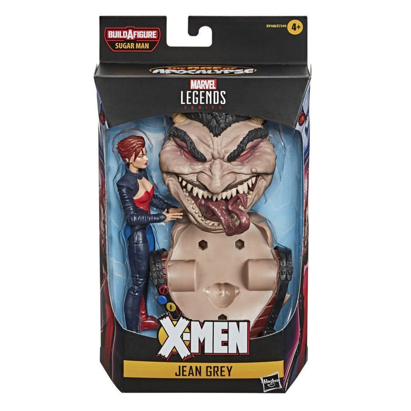Hasbro Marvel Legends Series 6-inch Action Figure