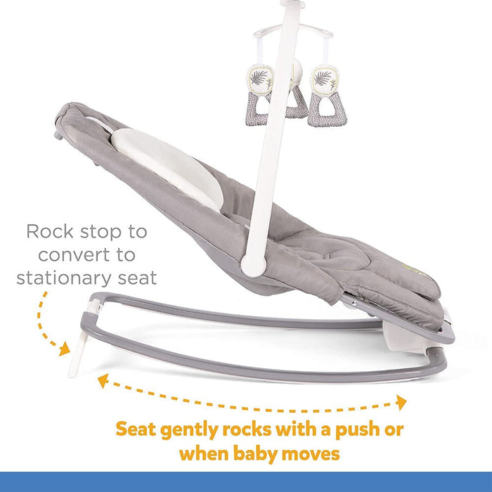 Joie Dreamer Rocker and Bouncer — Toycra