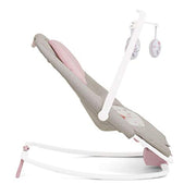Joie Dreamer Rocker and Bouncer