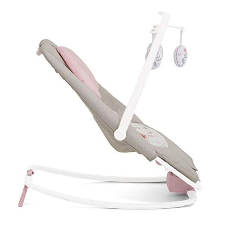Joie Dreamer Rocker and Bouncer