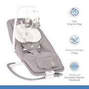 Joie Dreamer Rocker and Bouncer