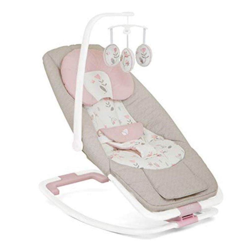 Joie Dreamer Rocker and Bouncer