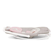 Joie Dreamer Rocker and Bouncer