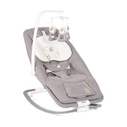Joie Dreamer Rocker and Bouncer