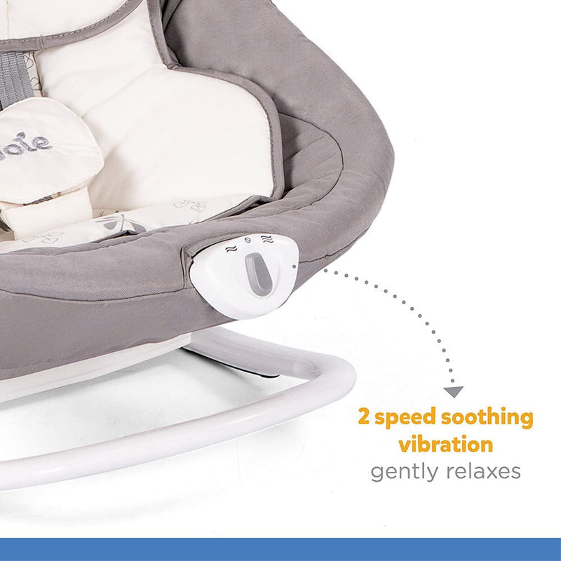 Joie Sansa 2 in1 Swing -Fern