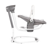 Joie Serina 2 in1 Rocker and Swing