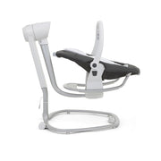 Joie Serina 2 in1 Rocker and Swing