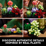 LEGO 10309 Icons Succulents
