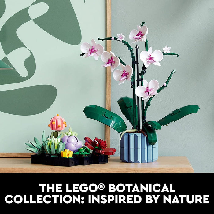 LEGO 10309 Icons Succulents-Construction-LEGO-Toycra