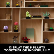LEGO 10309 Icons Succulents