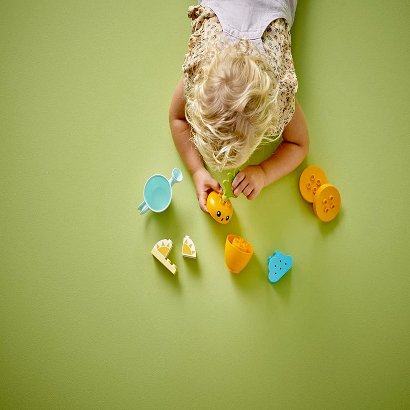 LEGO 10981 Duplo Growing Carrot-Construction-LEGO-Toycra