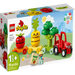 LEGO 10982 Duplo Fruit And Vegetable Tractor-Construction-LEGO-Toycra