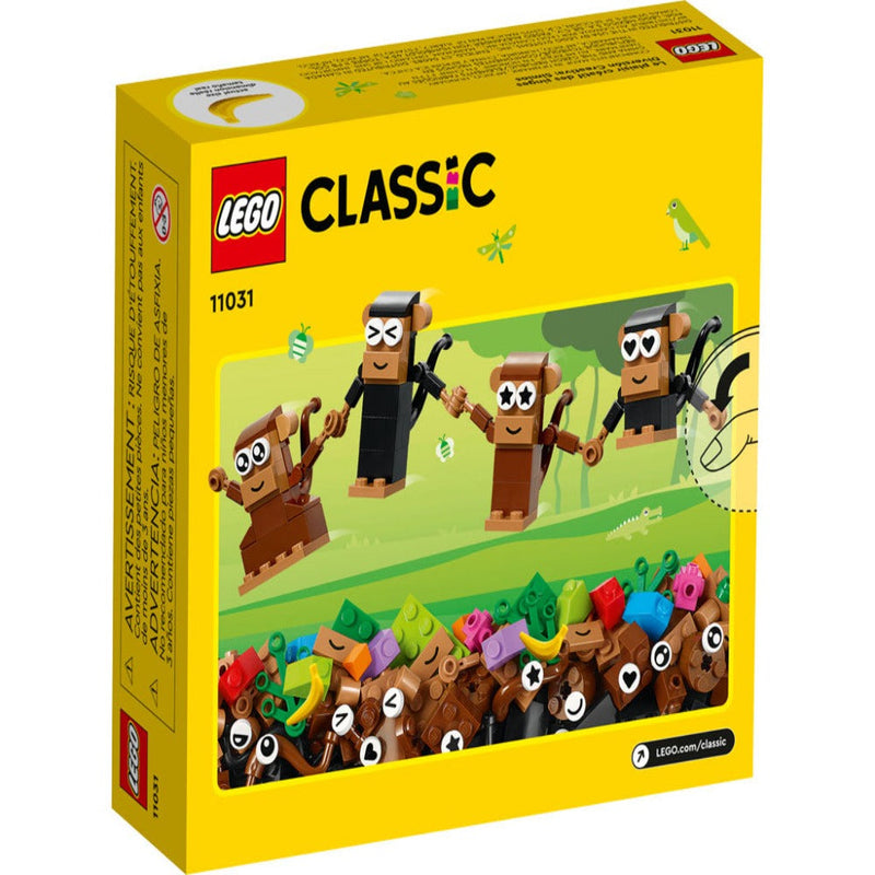 LEGO 11031 Classic Creative Monkey Fun (135 pcs)