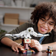 LEGO 75979 Harry Potter Hedwig - 630 Pieces