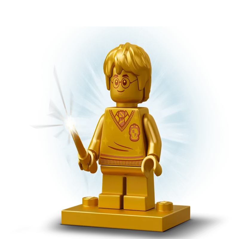 LEGO 76386 Harry Potter Hogwarts Polyjuice Potion Mistake