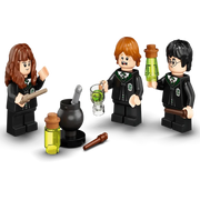 LEGO 76386 Harry Potter Hogwarts Polyjuice Potion Mistake