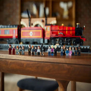 LEGO 76405 Harry Potter Hogwarts Express Collectors' Edition