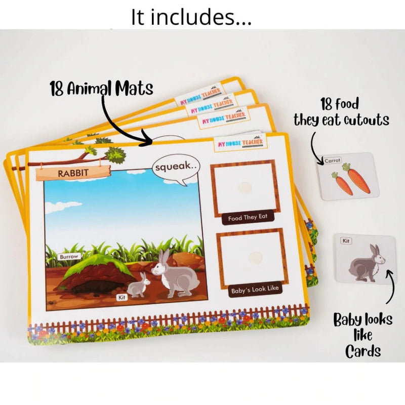 My House Teacher Animal Bundle