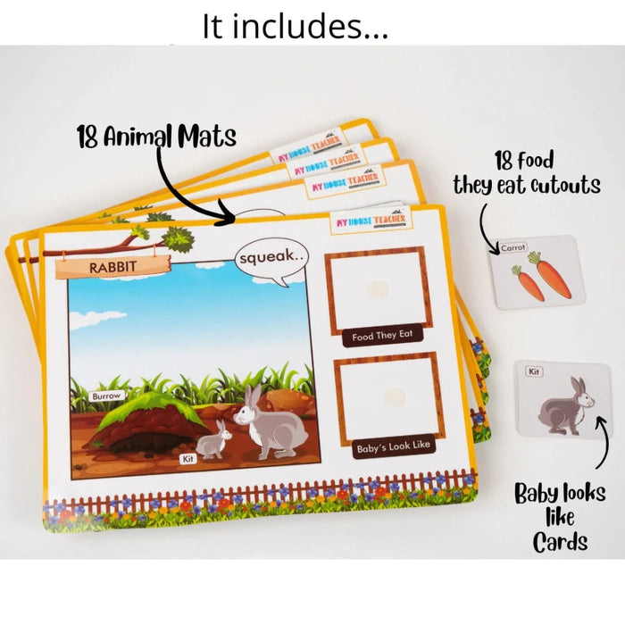 My House Teacher Animal Bundle-Preschool Toys-My House Teacher-Toycra