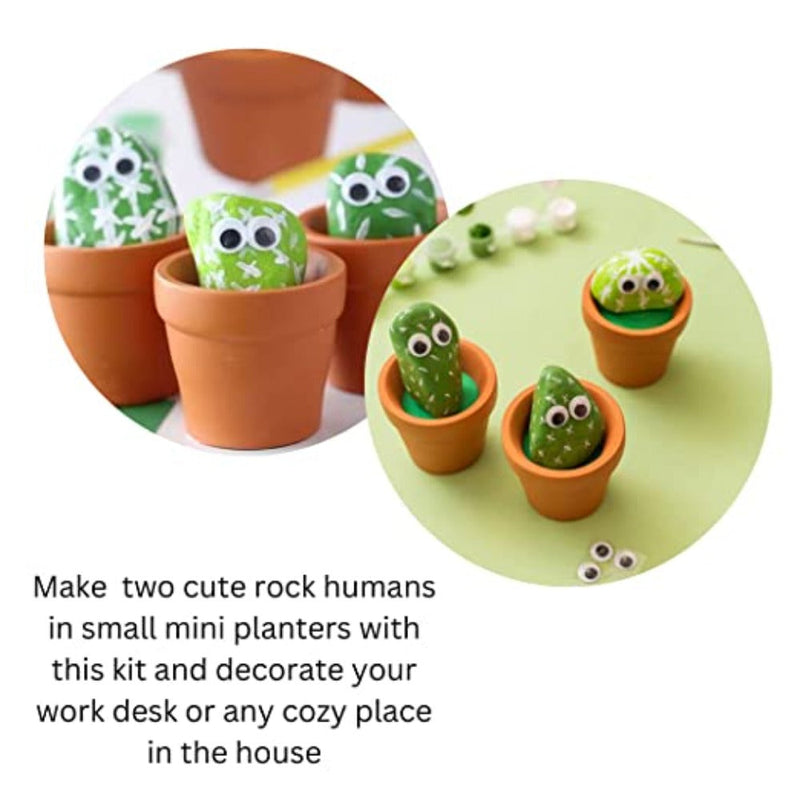 My House Teacher Diy Cactus Rock Painting Kit