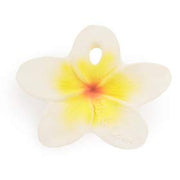 Oli & Carol Mini Natural Rubber Teether