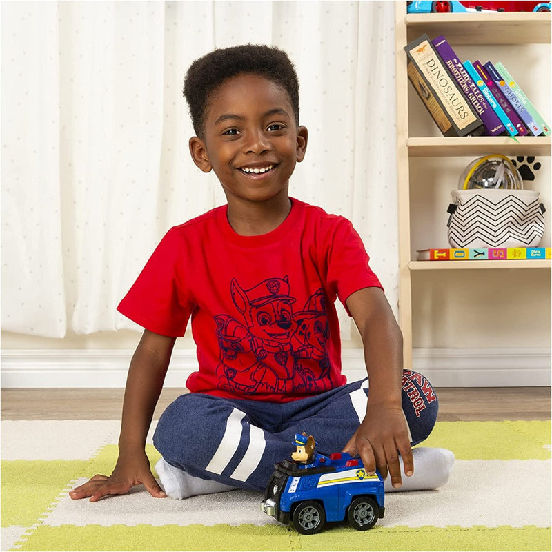 Paw Patrol Vehicle With Collectible Figure