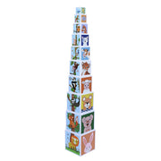 PepPlay Stacking & Nesting Cubes