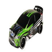 Playzu Rally Xtreme R/C (1:16)