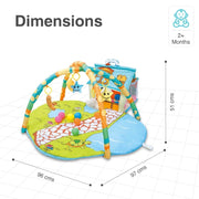 R for Rabbit First Play House Baby Play gym