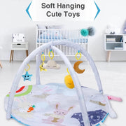 R for Rabbit First Play Rabbit Play Gym (Multi)