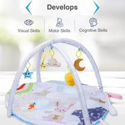 R for Rabbit First Play Rabbit Play Gym (Multi)