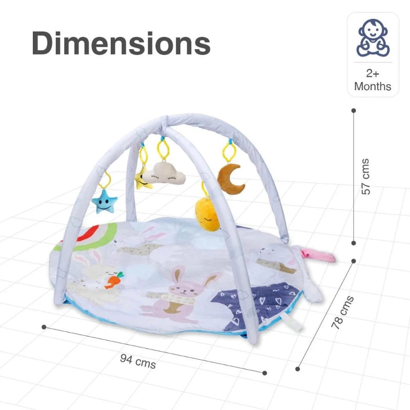 R for Rabbit First Play Rabbit Play Gym (Multi)