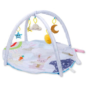 R for Rabbit First Play Rabbit Play Gym (Multi)