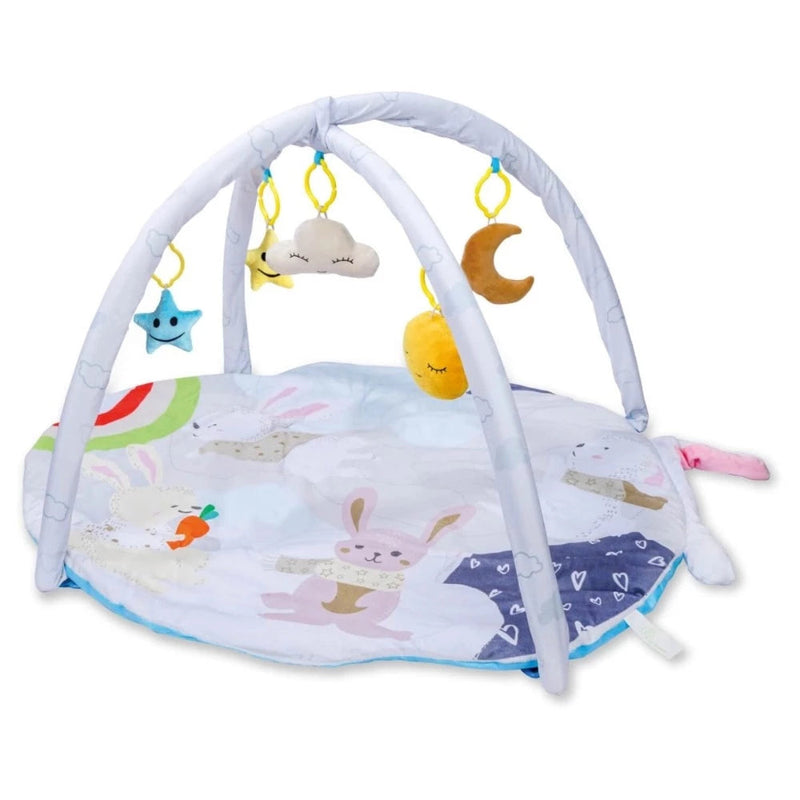 R for Rabbit First Play Rabbit Play Gym (Multi)