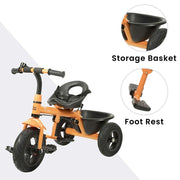 R for Rabbit Tiny Toes Grand Tricycle