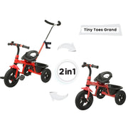 R for Rabbit Tiny Toes Grand Tricycle