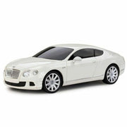 Rastar Radio Control Car 1:24 Scale
