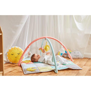 Role Play Rainbow Play Gym