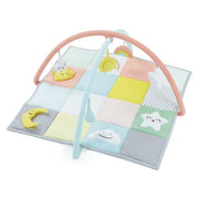 Role Play Rainbow Play Gym
