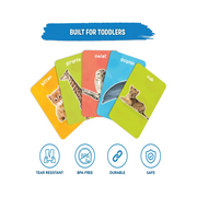 Skillmatics Flash Cards