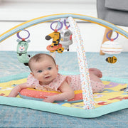 Skip Hop ABC & ME Activity Gym